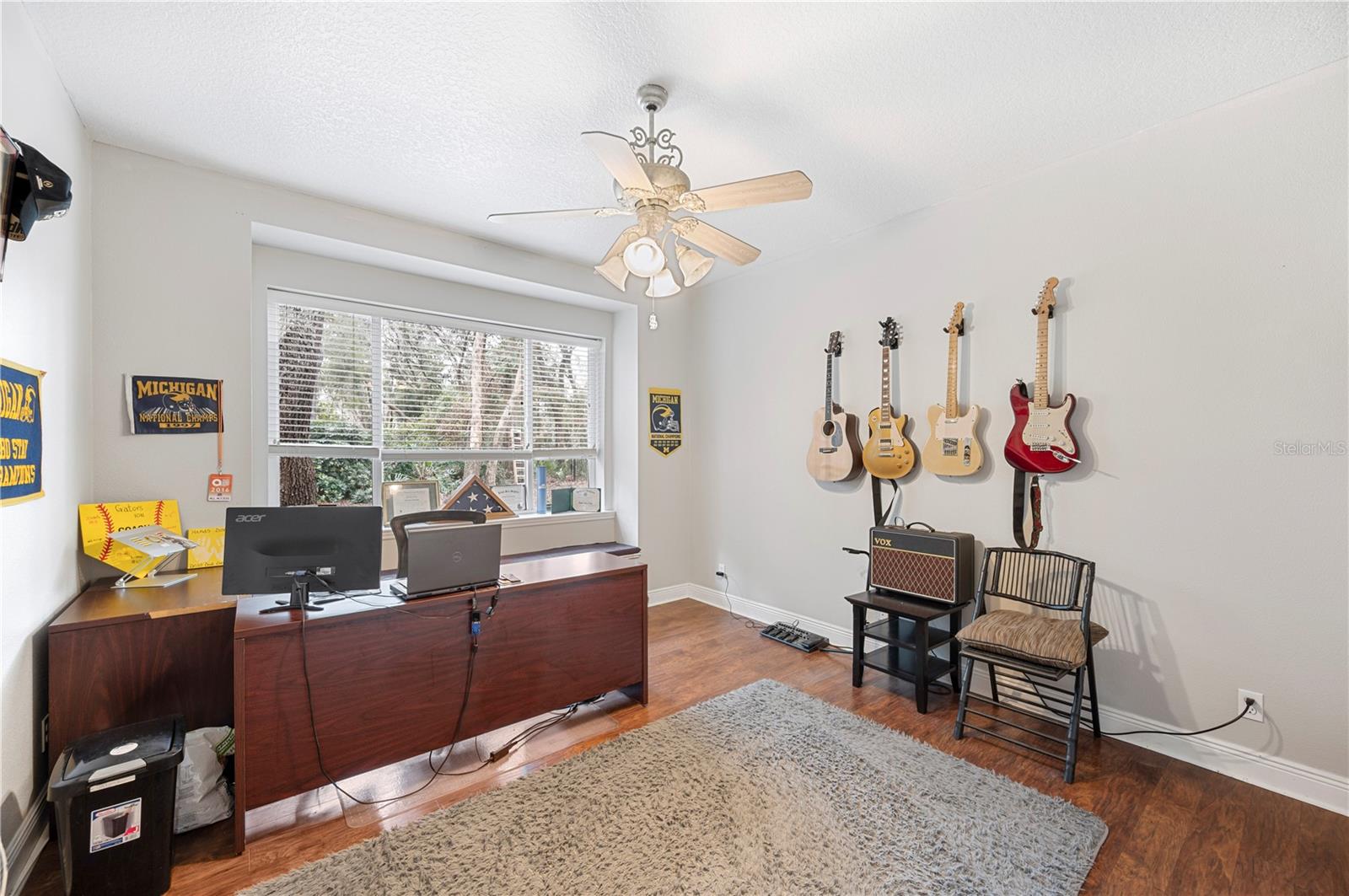 6011 HAMMOCK HILL AVE, LITHIA, FL, 33547
