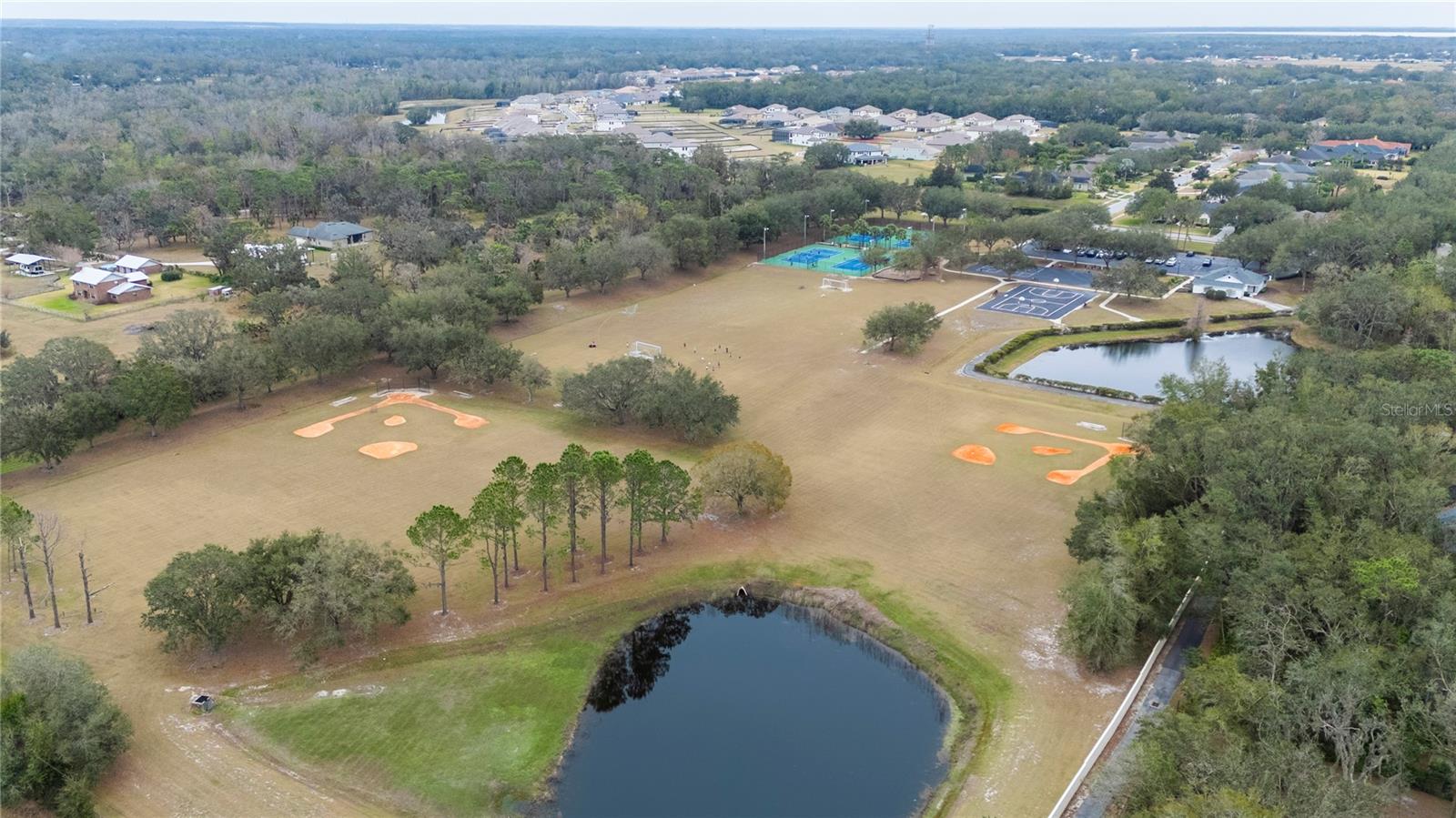 6011 HAMMOCK HILL AVE, LITHIA, FL, 33547