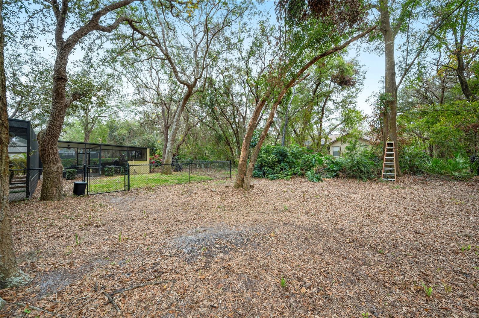 6011 HAMMOCK HILL AVE, LITHIA, FL, 33547