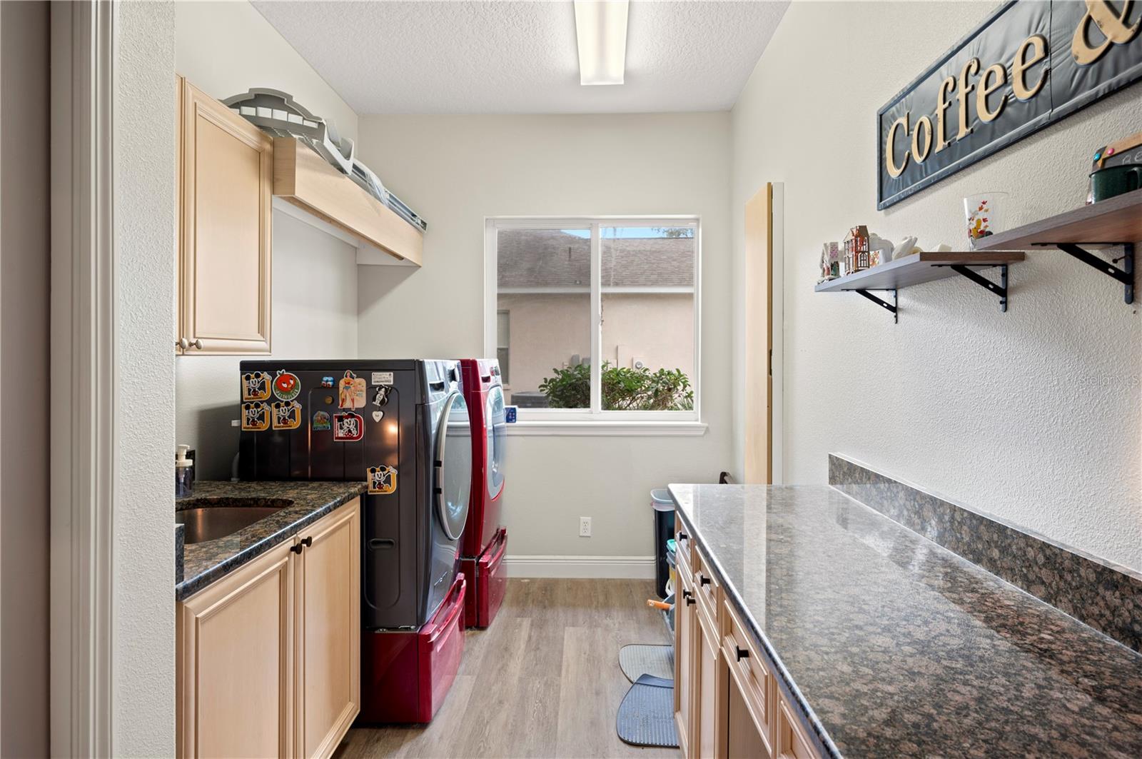 6011 HAMMOCK HILL AVE, LITHIA, FL, 33547