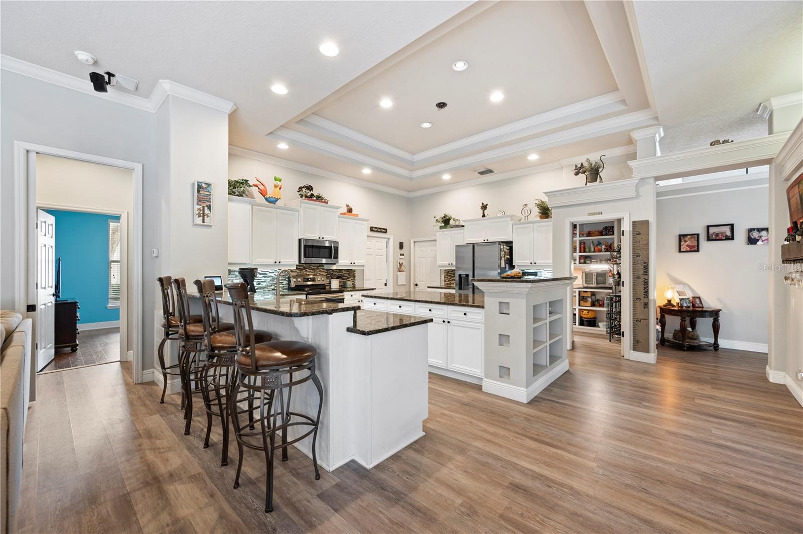 6011 HAMMOCK HILL AVE, LITHIA, FL, 33547