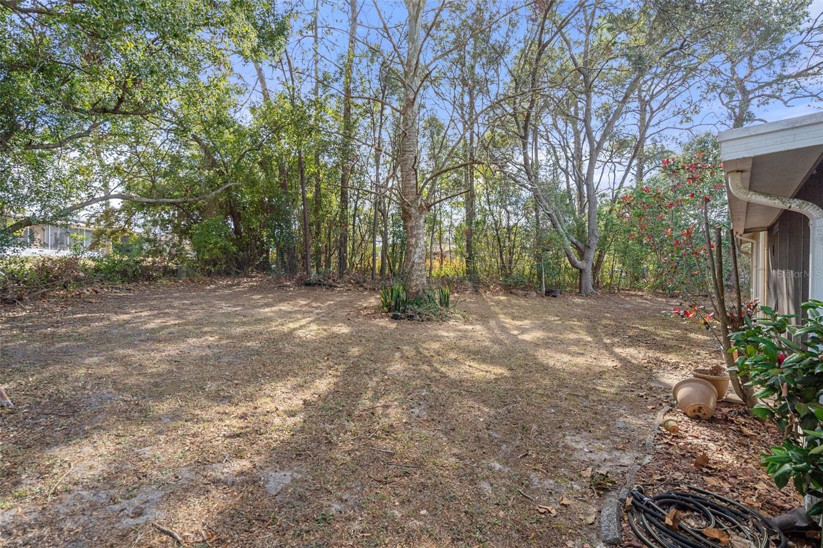 5504 BIRCHWOOD RD, SPRING HILL, FL, 34608