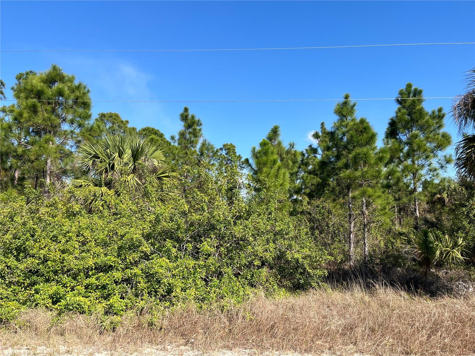 7608 9TH PL, LABELLE, FL, 33935