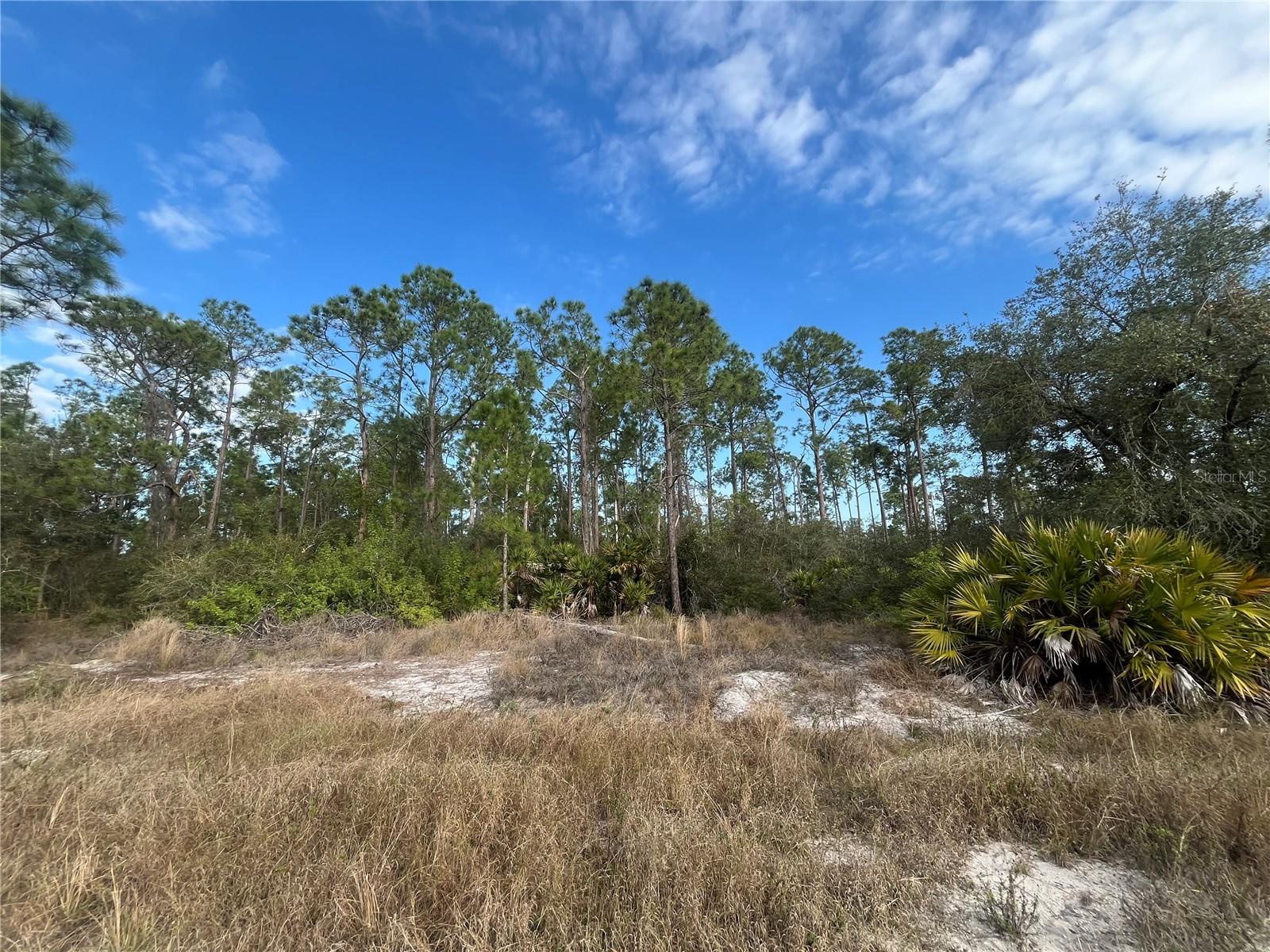7602 18TH PL, LABELLE, FL, 33935