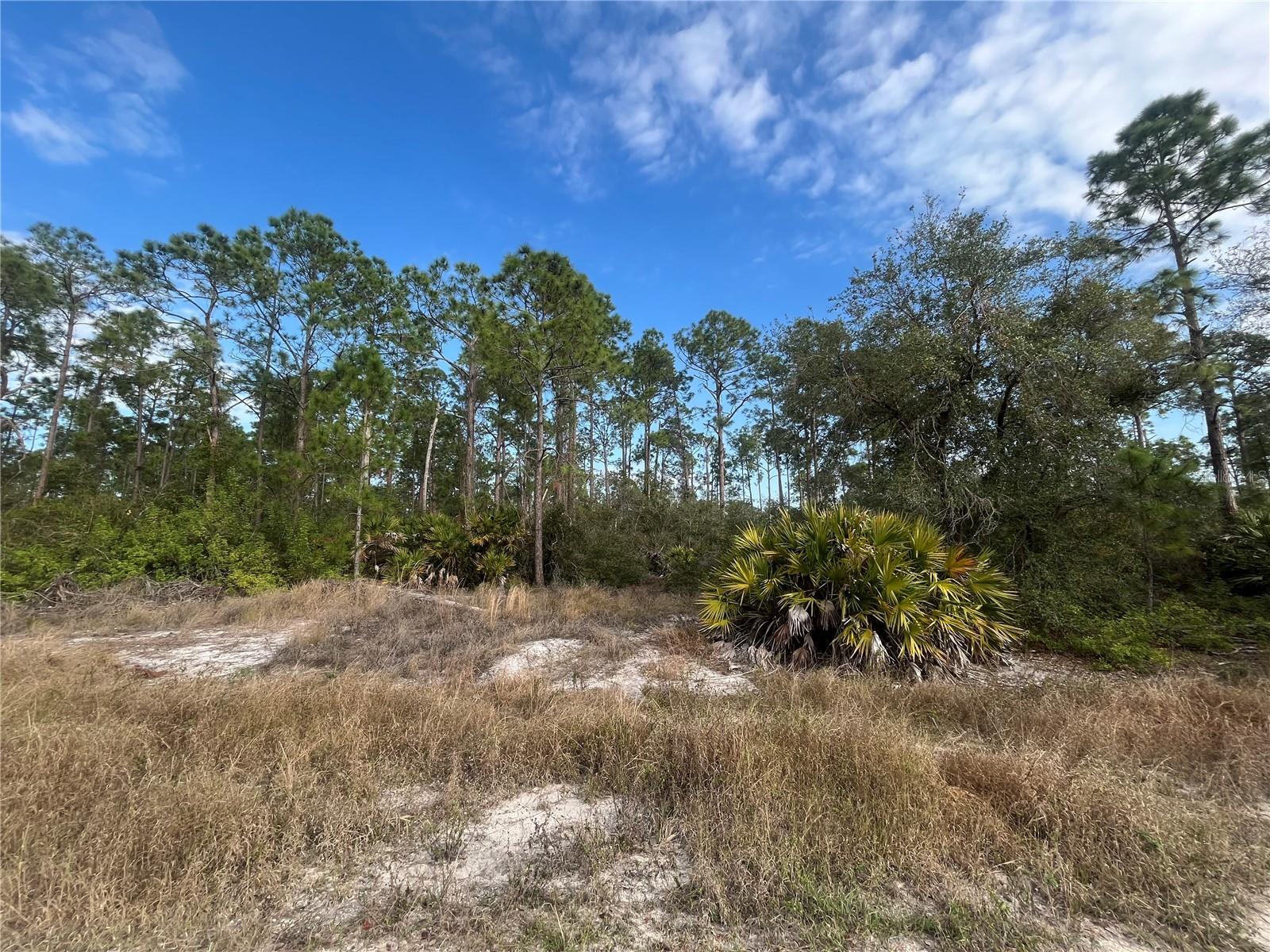 7602 18TH PL, LABELLE, FL, 33935