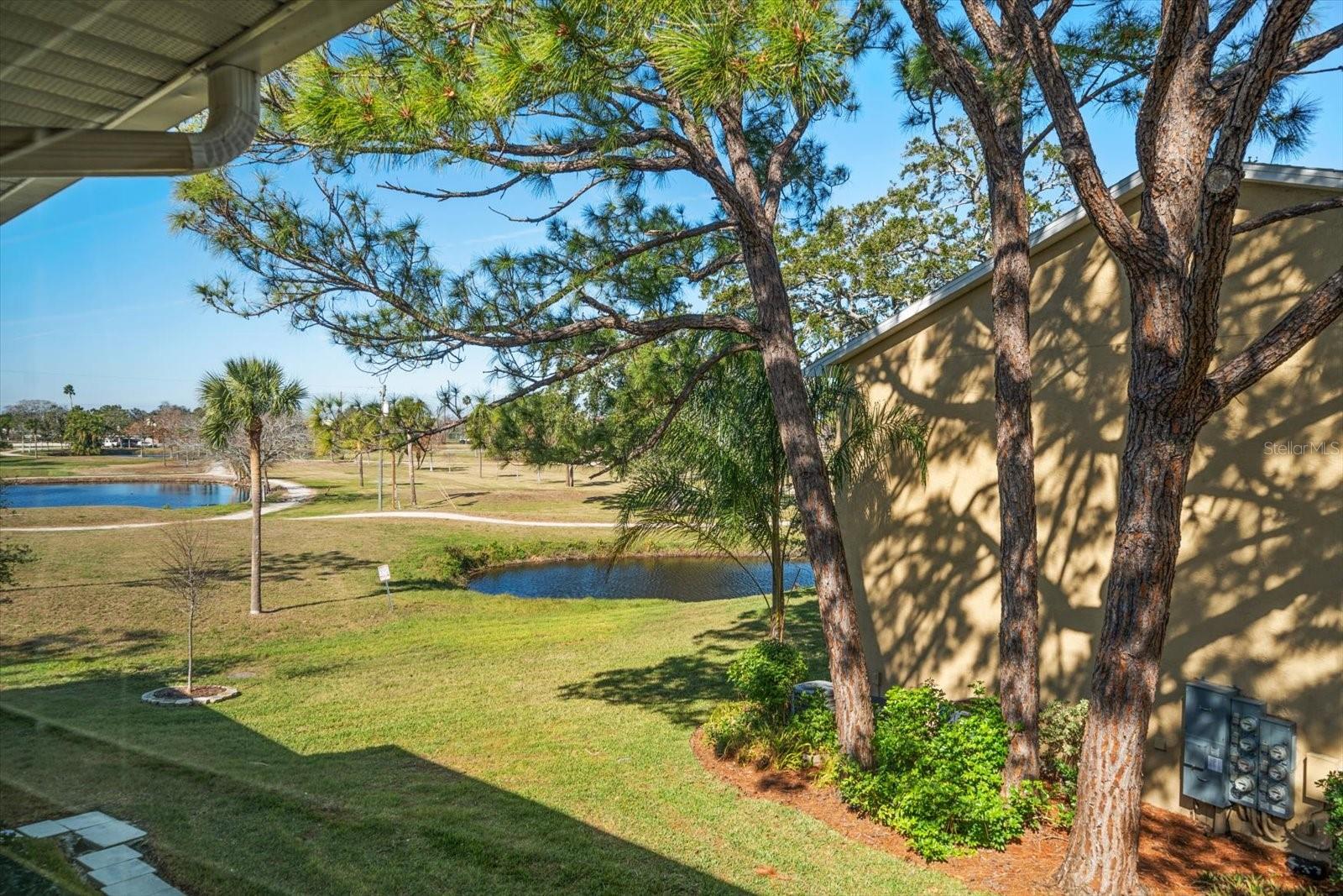 2112 GULF VIEW BLVD, DUNEDIN, FL, 34698
