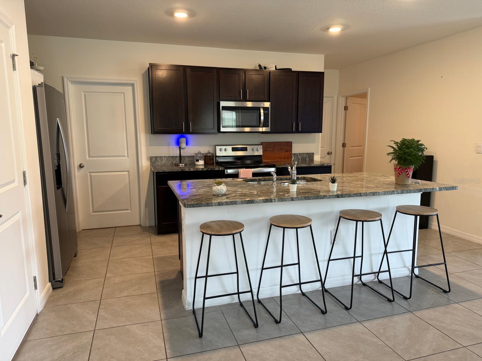 33585 APRICOT TREE CT, WESLEY CHAPEL, FL, 33543