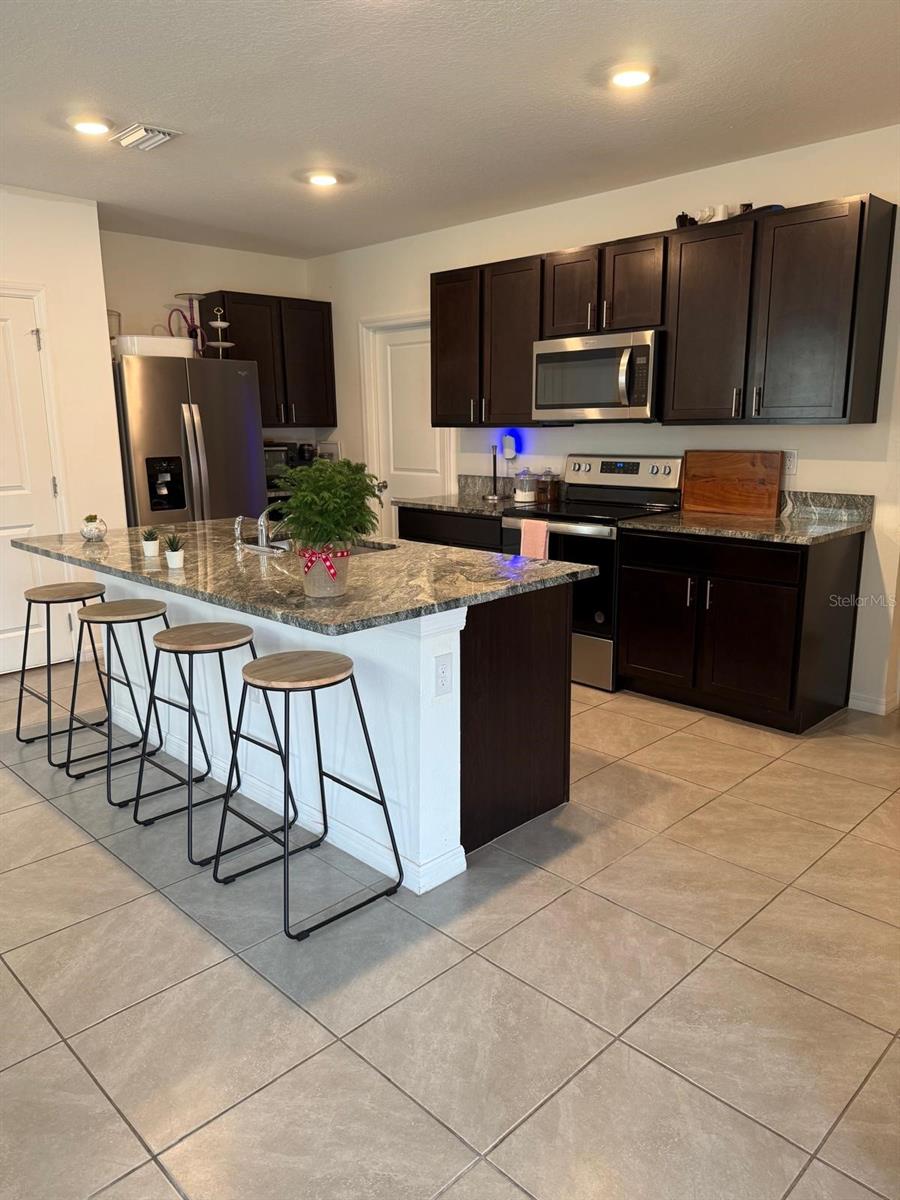 33585 APRICOT TREE CT, WESLEY CHAPEL, FL, 33543