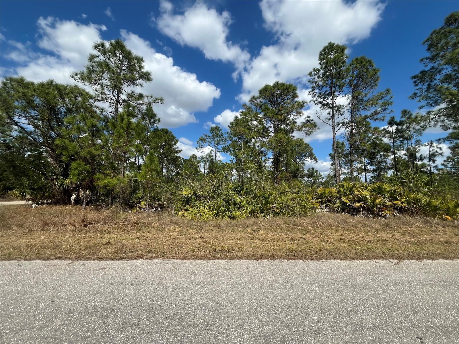 1306 W 11TH ST, LEHIGH ACRES, FL, 33972
