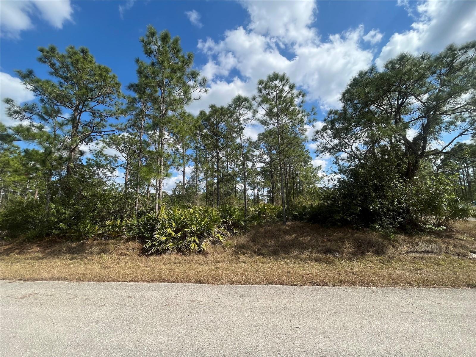 1306 W 11TH ST, LEHIGH ACRES, FL, 33972