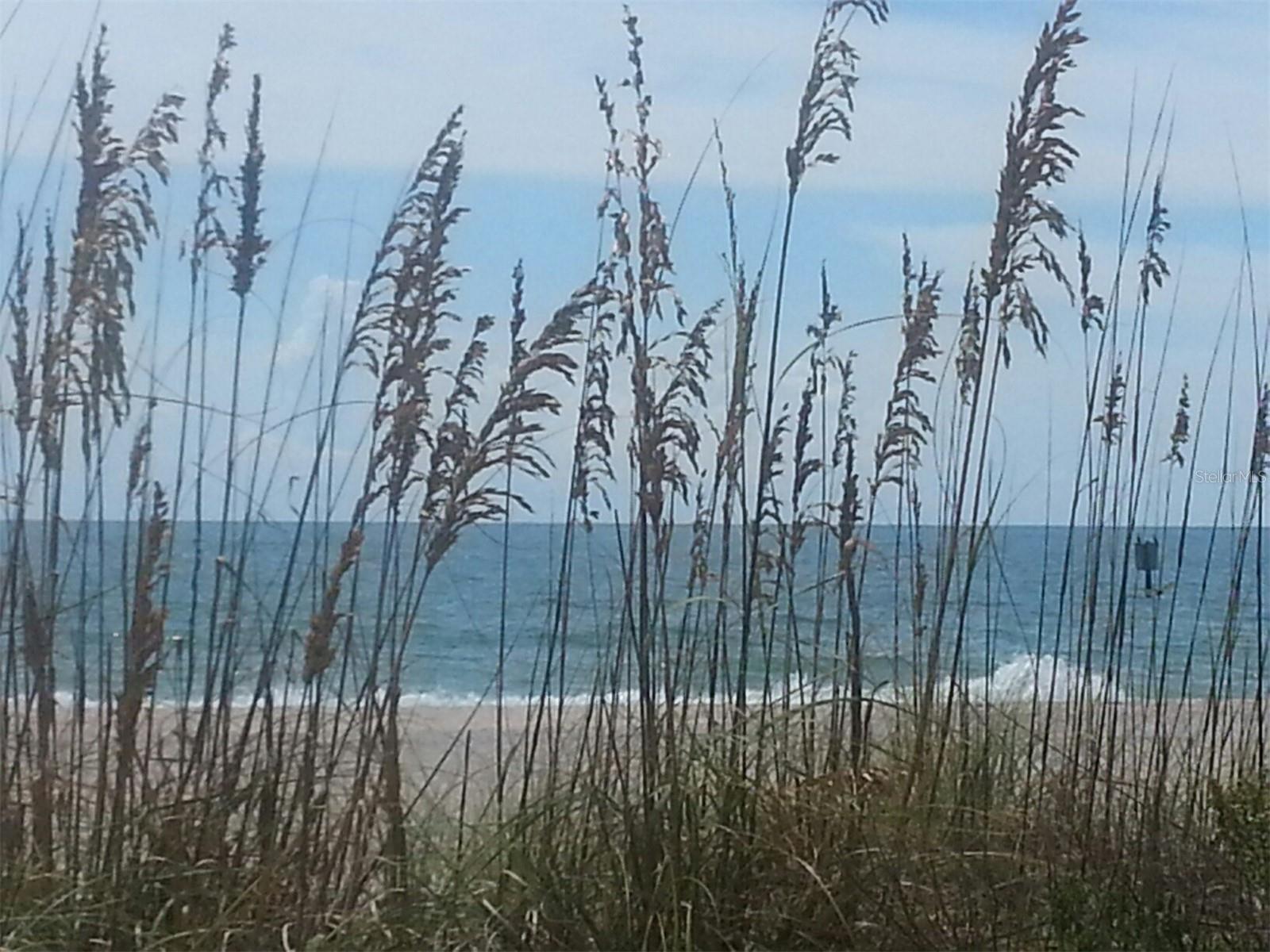 451 HOME PARK RD, VENICE, FL, 34285