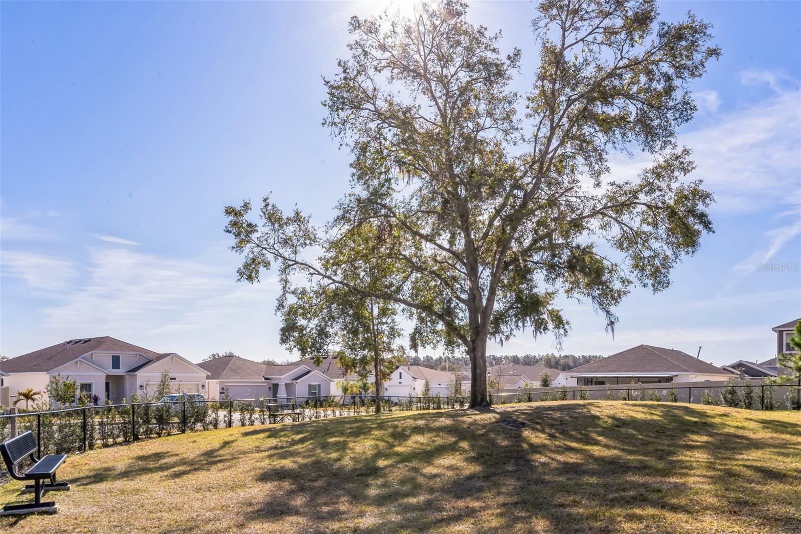 26100 BRISTLELEAF CT, LEESBURG, FL, 34748