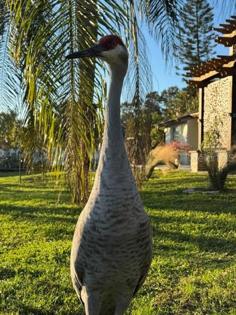 825 E LAKESHORE BLVD, KISSIMMEE, FL, 34744