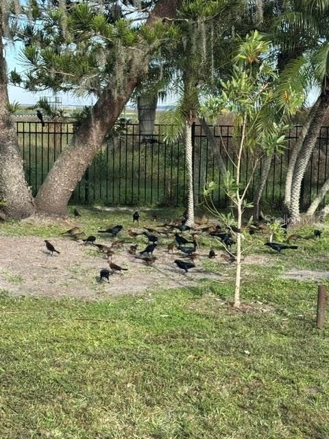 825 E LAKESHORE BLVD, KISSIMMEE, FL, 34744