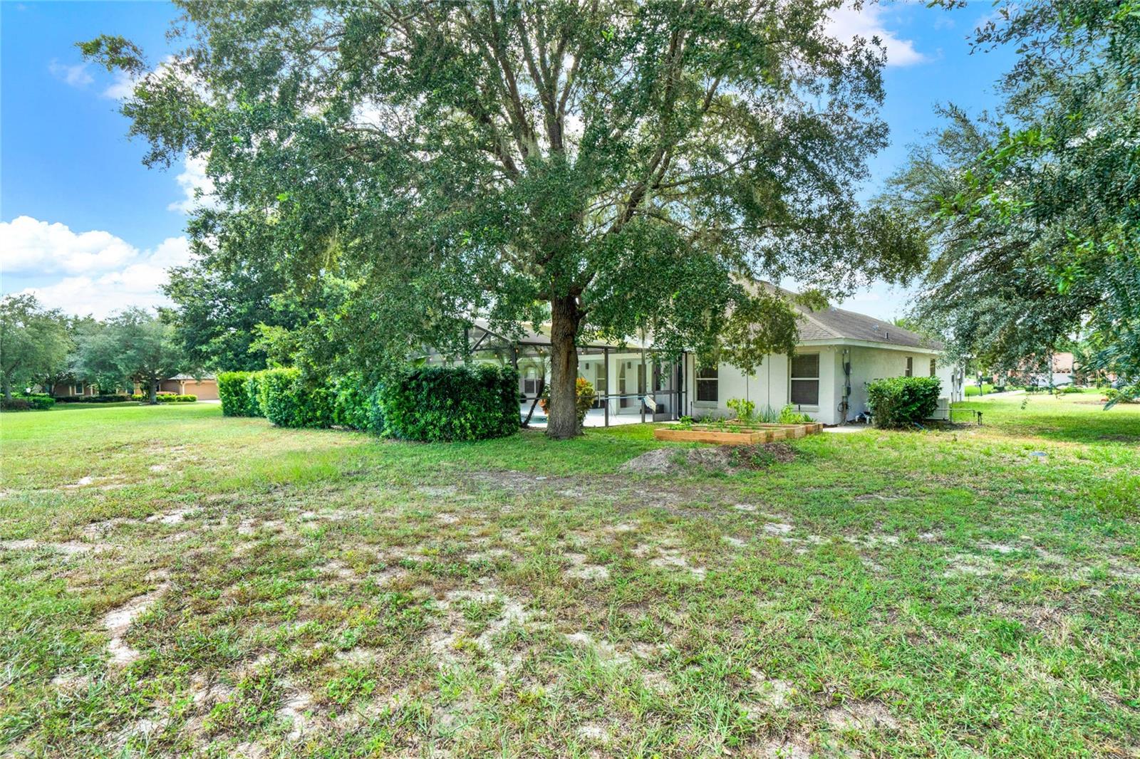 24932 SARANAC CT, EUSTIS, FL, 32736