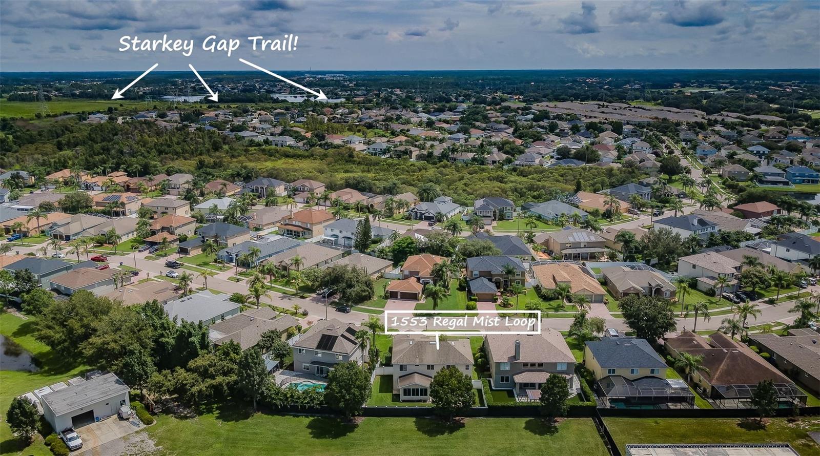 1553 REGAL MIST LOOP, TRINITY, FL, 34655