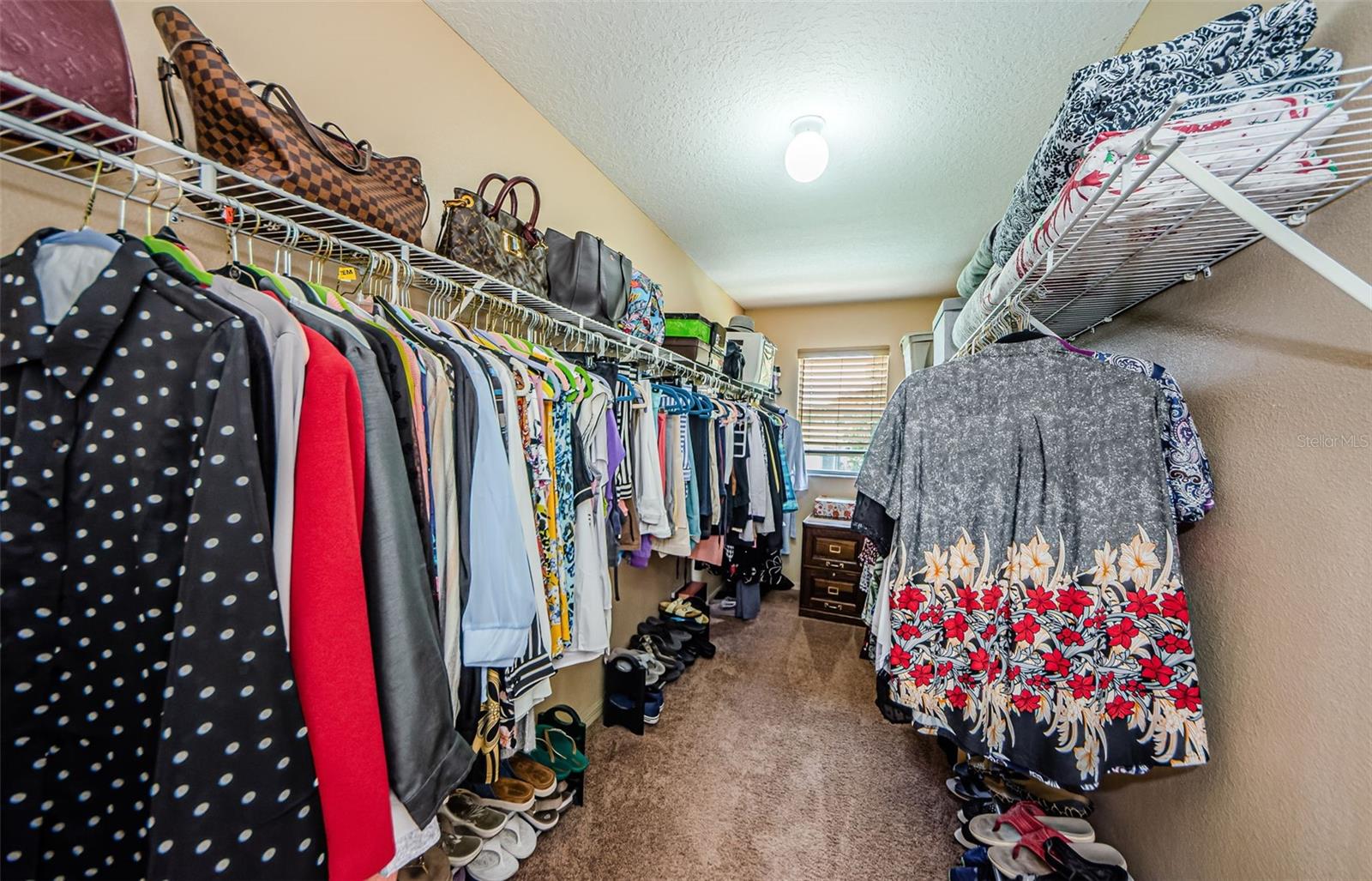 1553 REGAL MIST LOOP, TRINITY, FL, 34655
