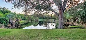 701 S MADISON AVE #215, CLEARWATER, FL, 33756