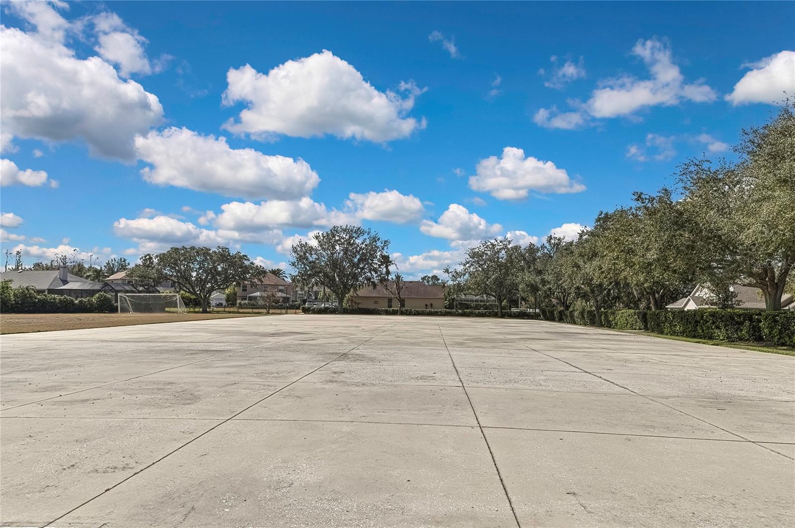 9813 BALSARIDGE CT, TRINITY, FL, 34655