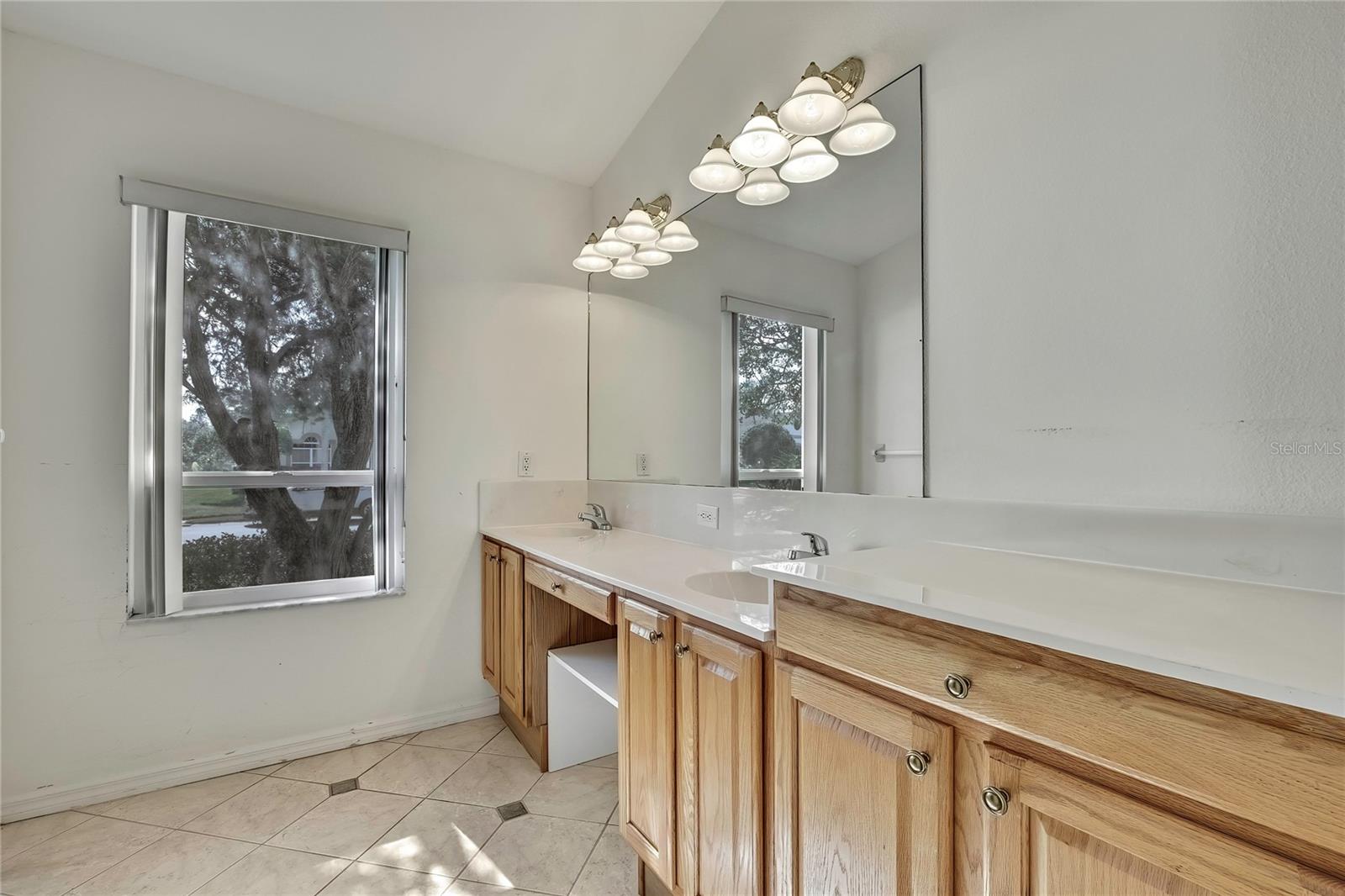 9813 BALSARIDGE CT, TRINITY, FL, 34655