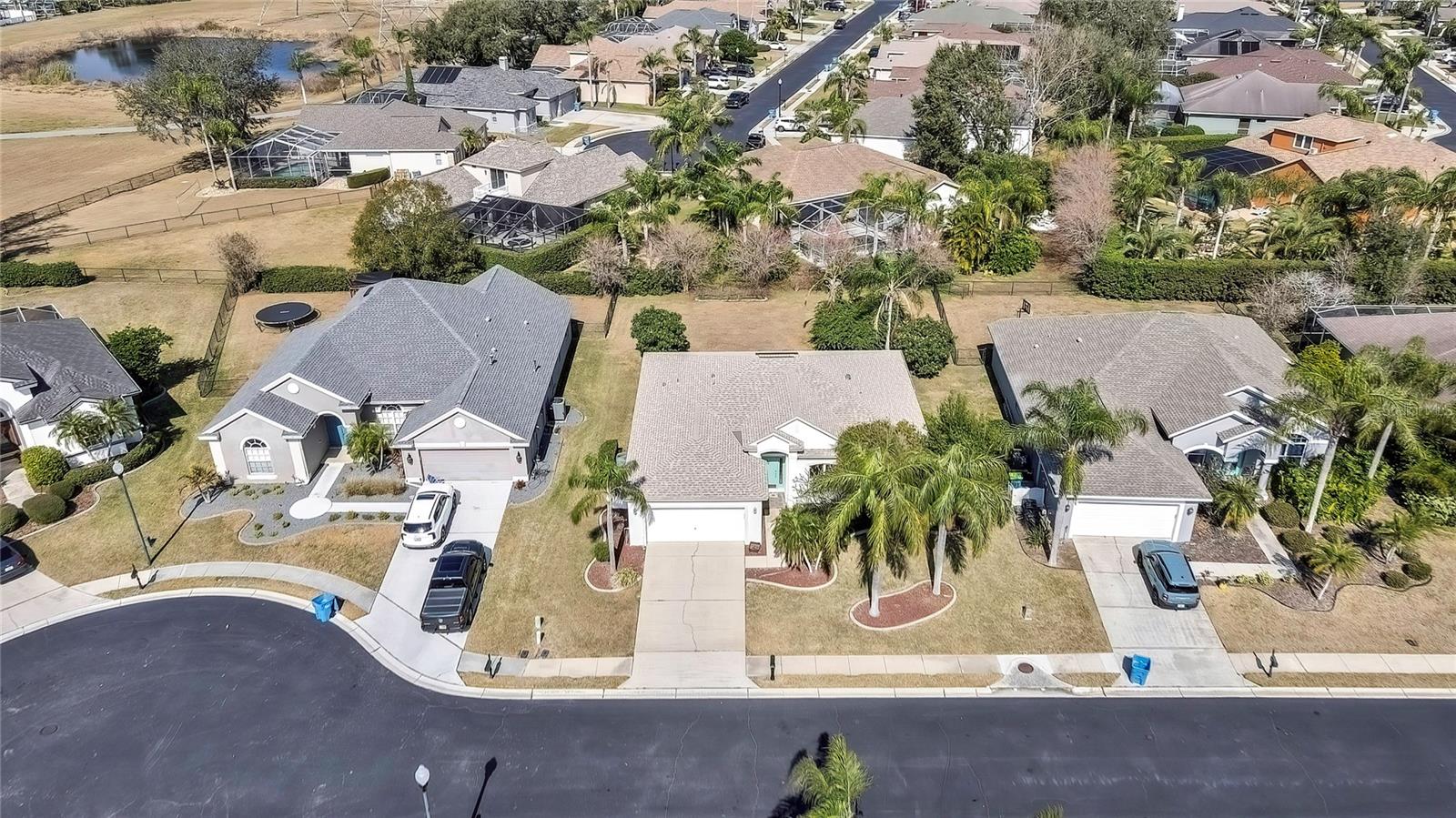9813 BALSARIDGE CT, TRINITY, FL, 34655