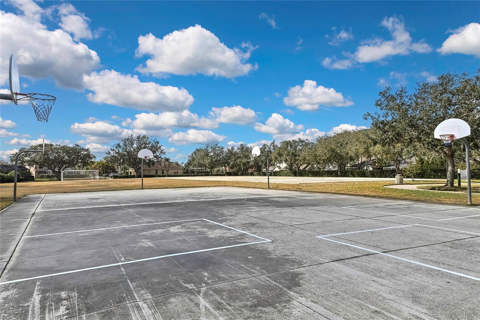 9813 BALSARIDGE CT, TRINITY, FL, 34655