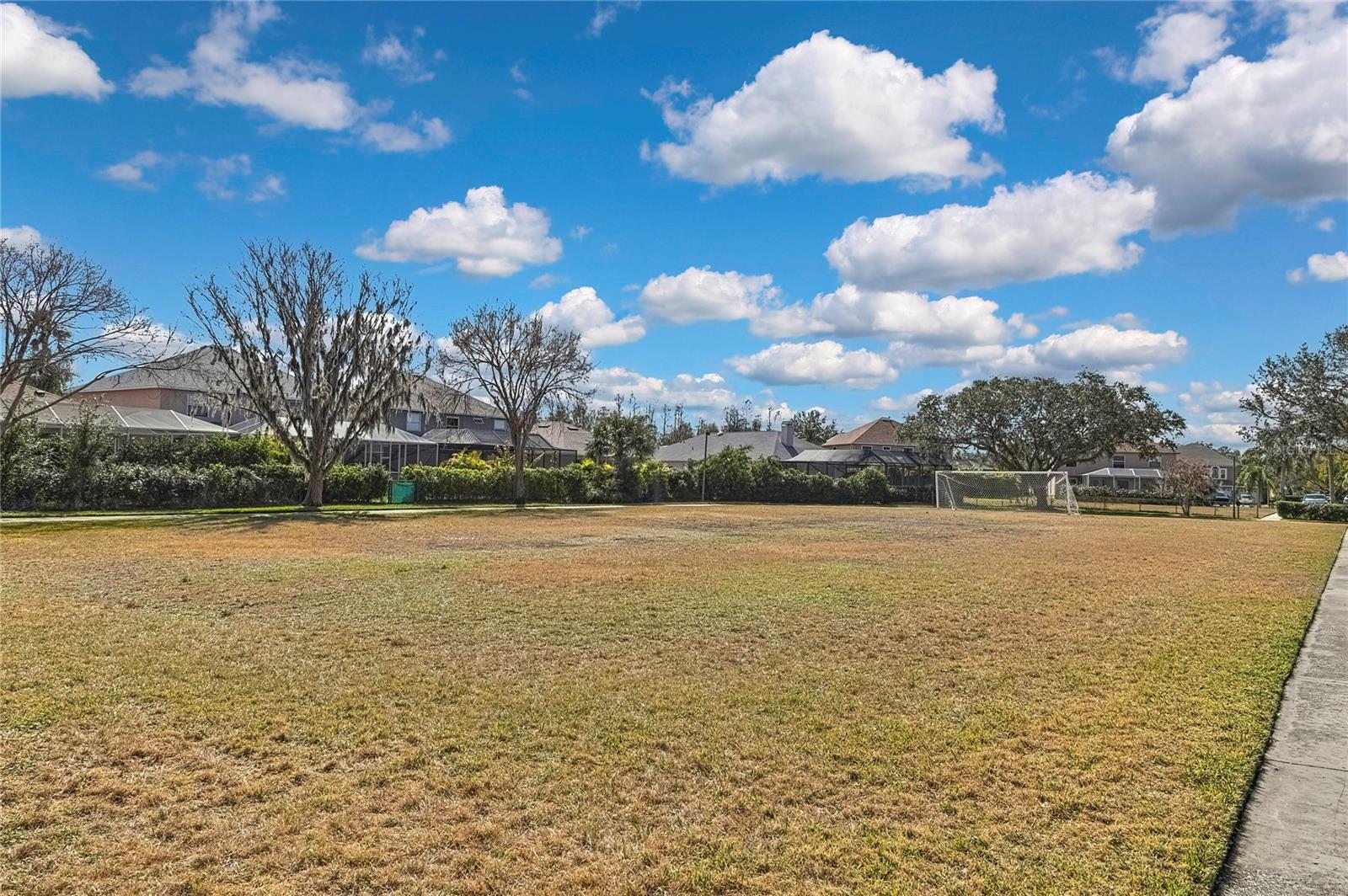 9813 BALSARIDGE CT, TRINITY, FL, 34655