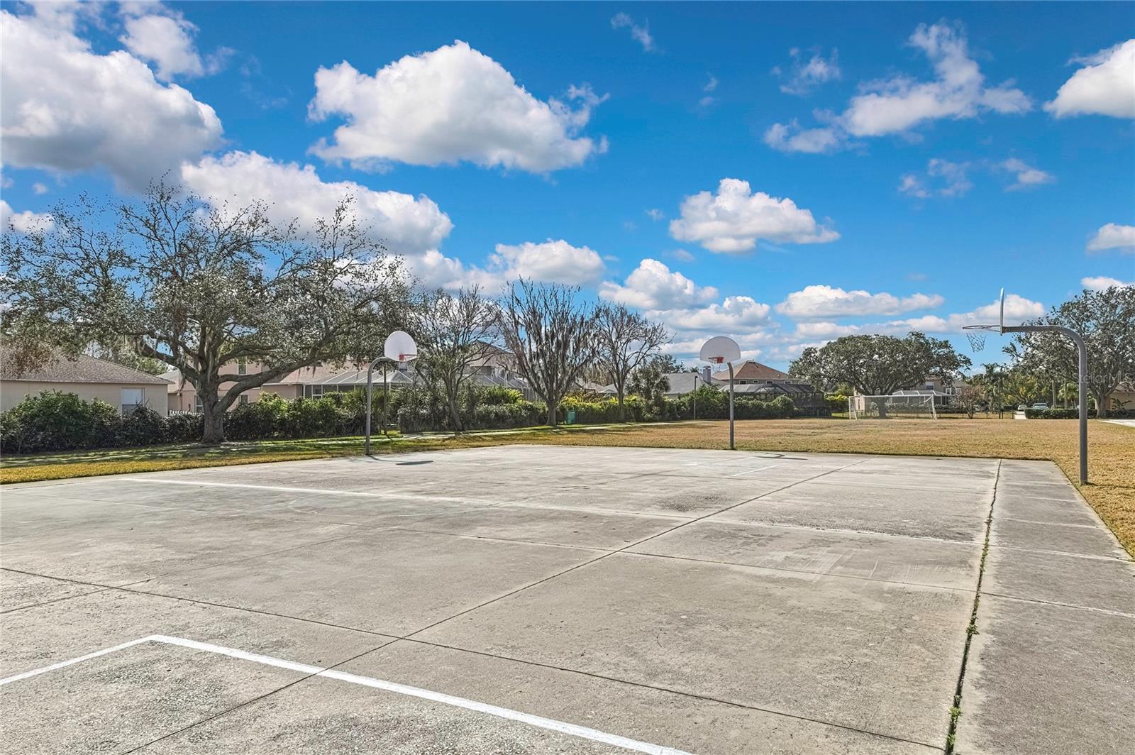 9813 BALSARIDGE CT, TRINITY, FL, 34655