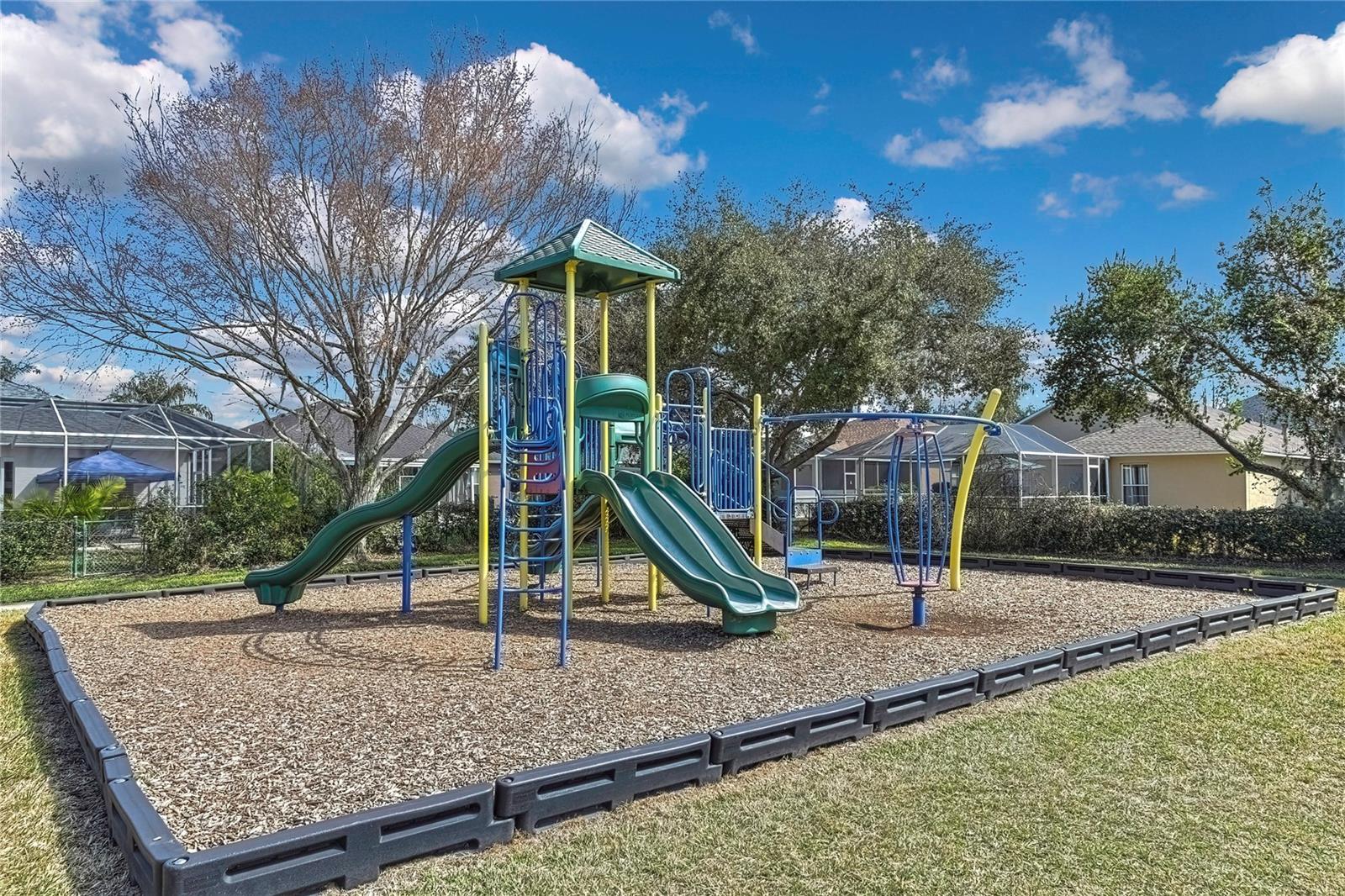 9813 BALSARIDGE CT, TRINITY, FL, 34655