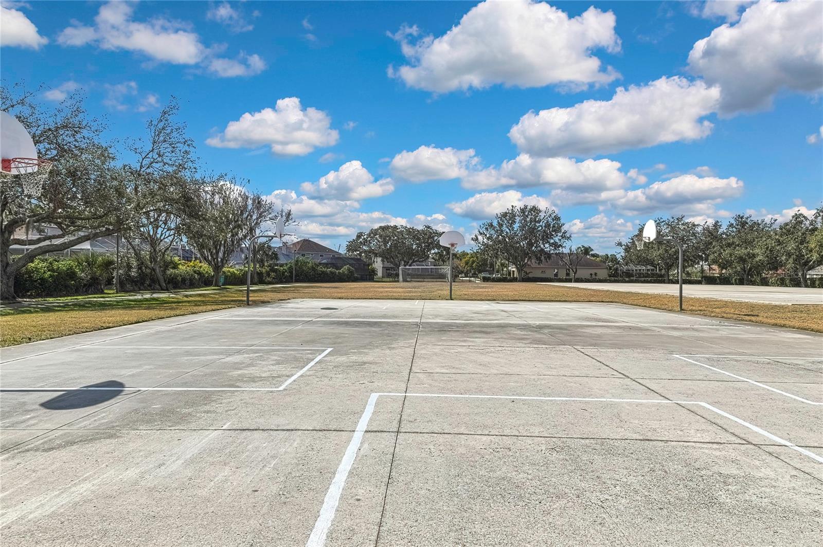 9813 BALSARIDGE CT, TRINITY, FL, 34655