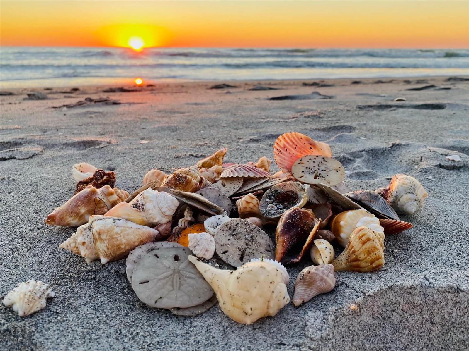 500 THE ESPLANADE N #405, VENICE, FL, 34285