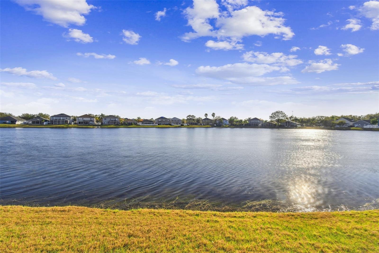 10608 LAKESIDE VISTA DR, RIVERVIEW, FL, 33569