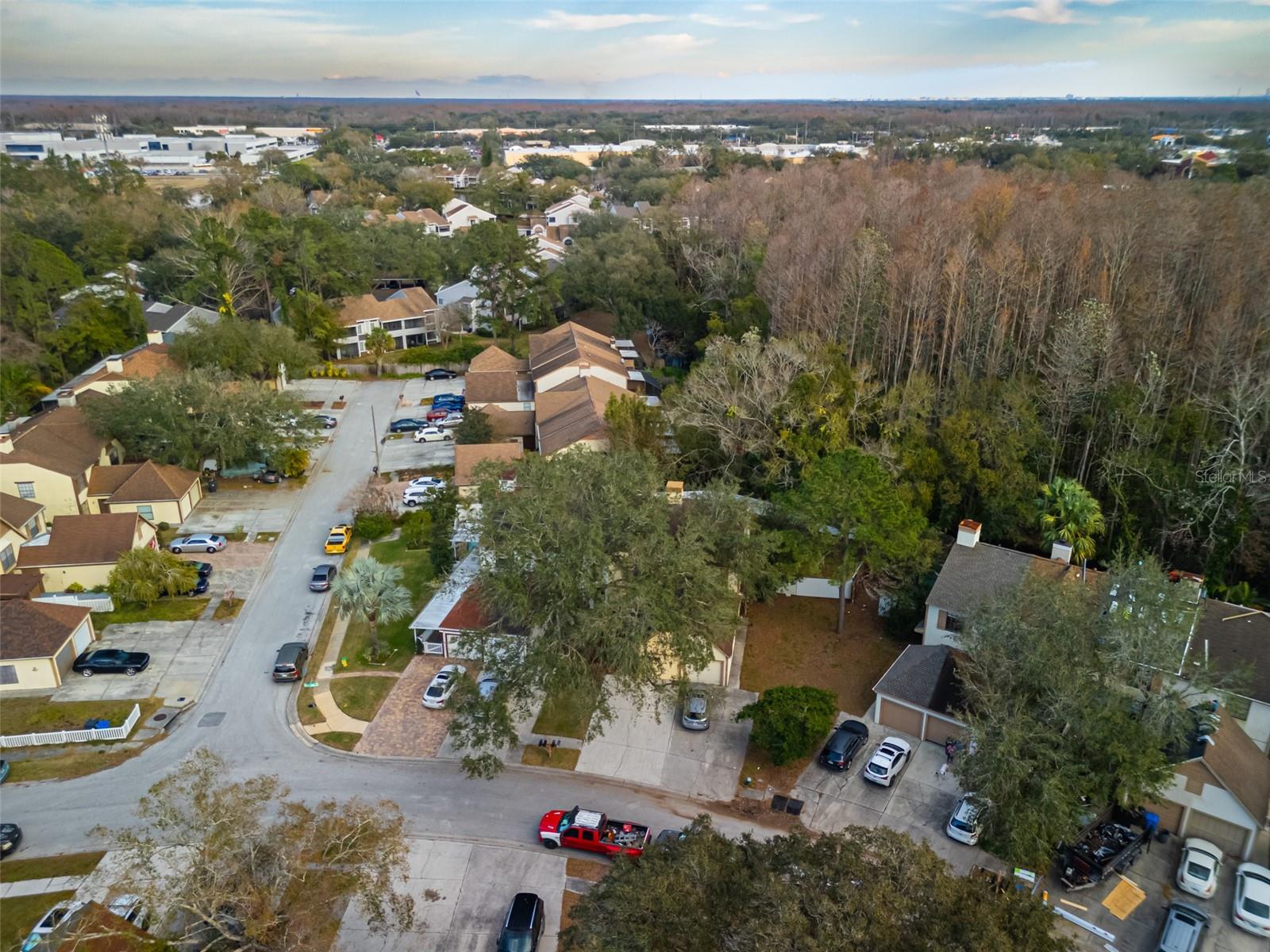 16106 DAWNVIEW DR, TAMPA, FL, 33624