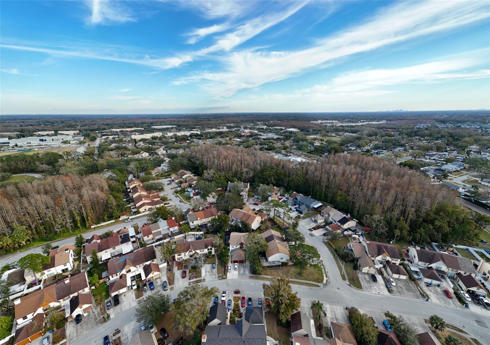 16106 DAWNVIEW DR, TAMPA, FL, 33624