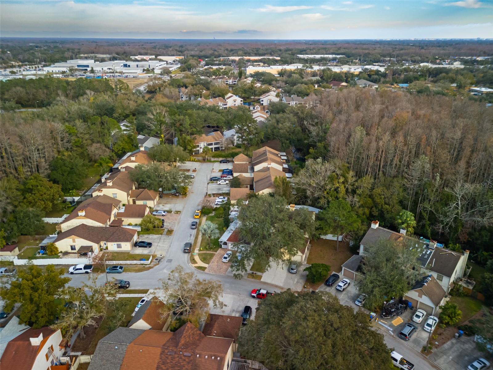 16106 DAWNVIEW DR, TAMPA, FL, 33624