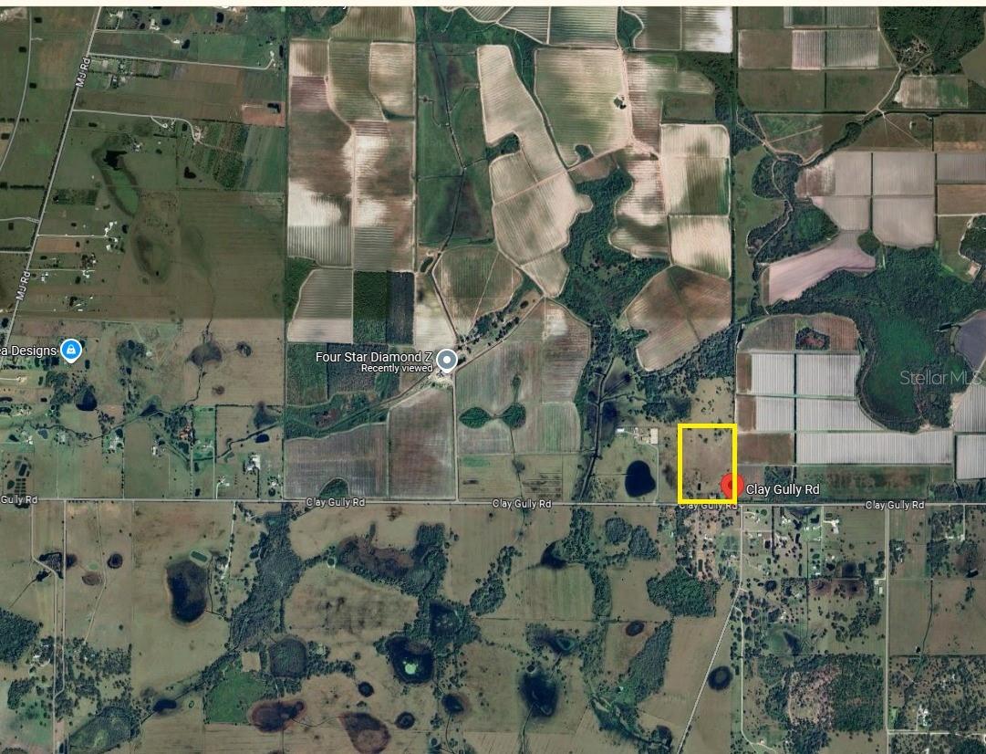 37801 CLAY GULLY RD, MYAKKA CITY, FL, 34251