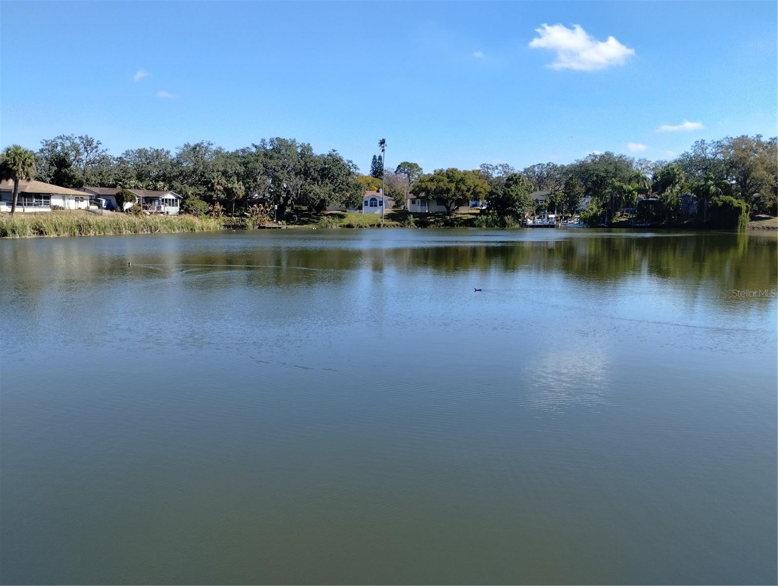7539 LAKE FOREST CIRCLE, PORT RICHEY, FL, 34668