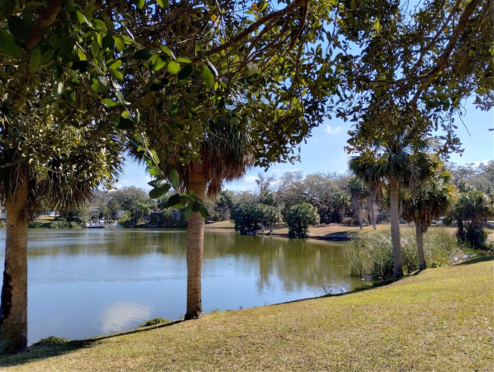 7539 LAKE FOREST CIRCLE, PORT RICHEY, FL, 34668