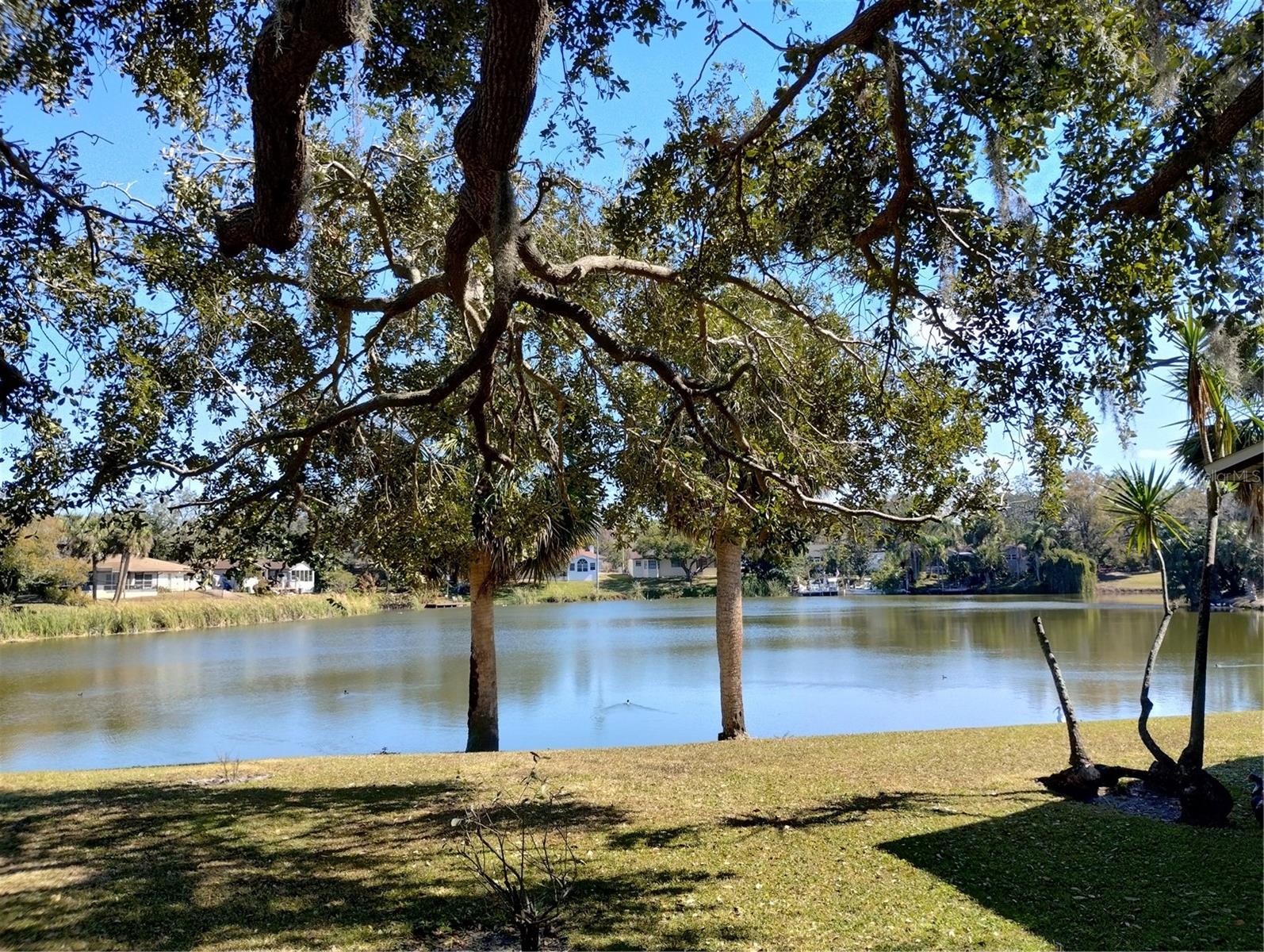 7539 LAKE FOREST CIRCLE, PORT RICHEY, FL, 34668