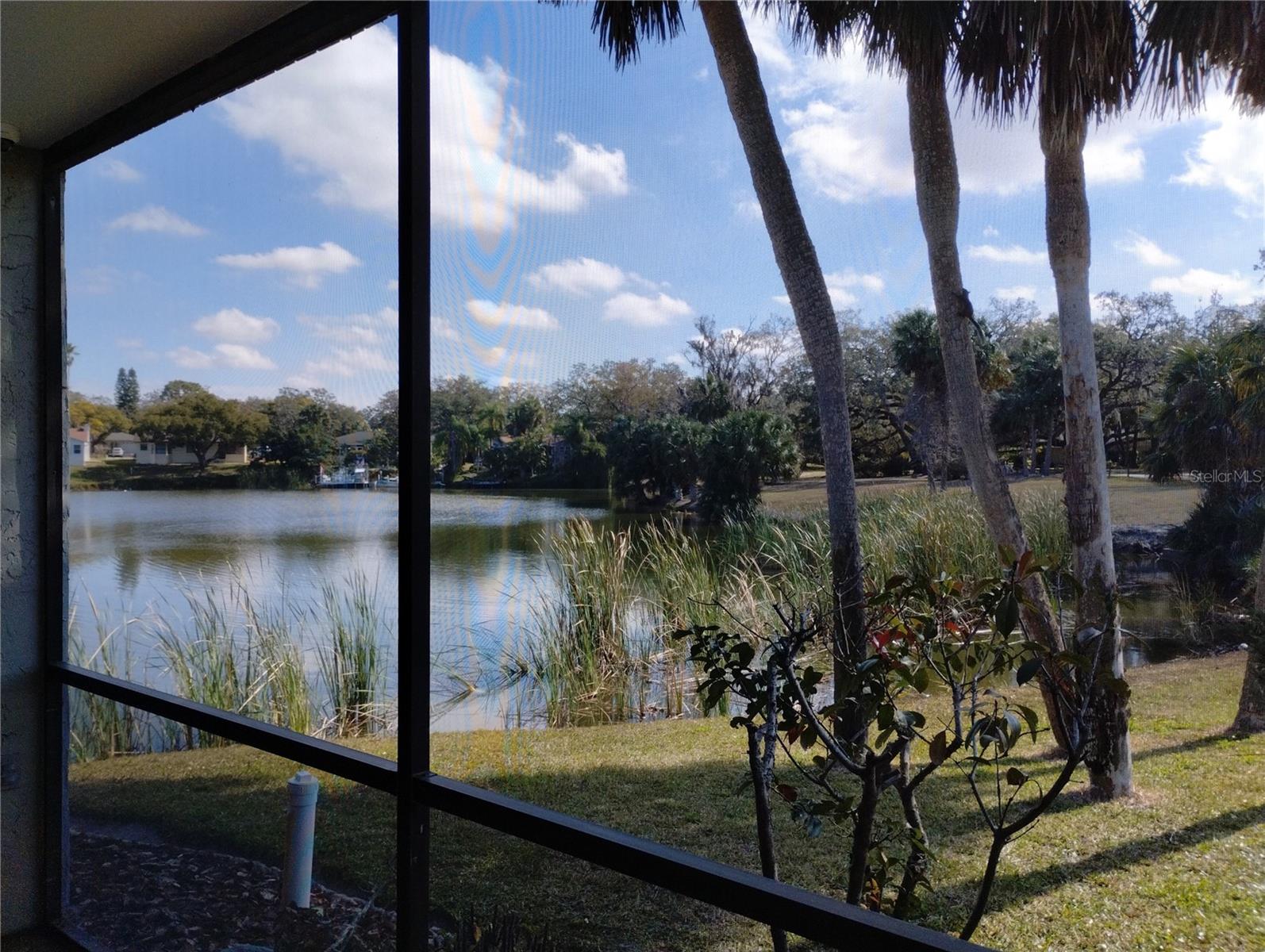 7539 LAKE FOREST CIRCLE, PORT RICHEY, FL, 34668