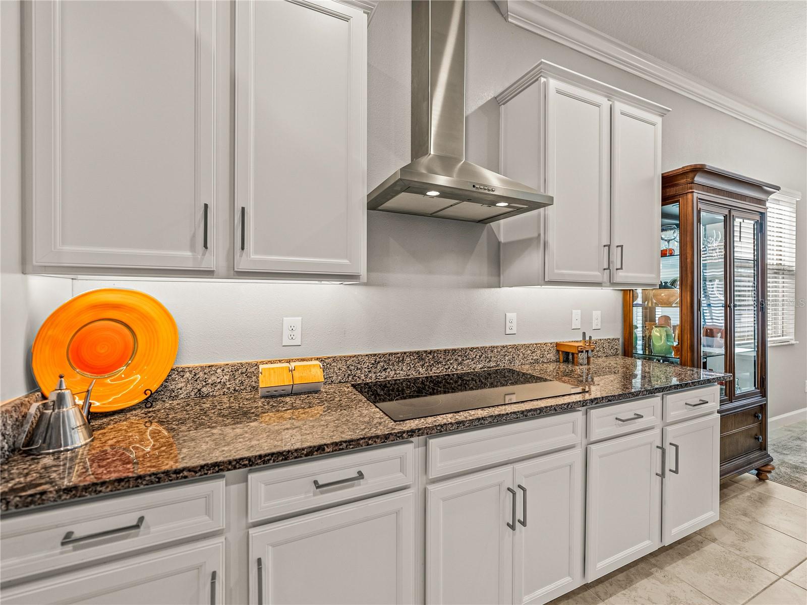16959 SCUBA CREST ST, WIMAUMA, FL, 33598