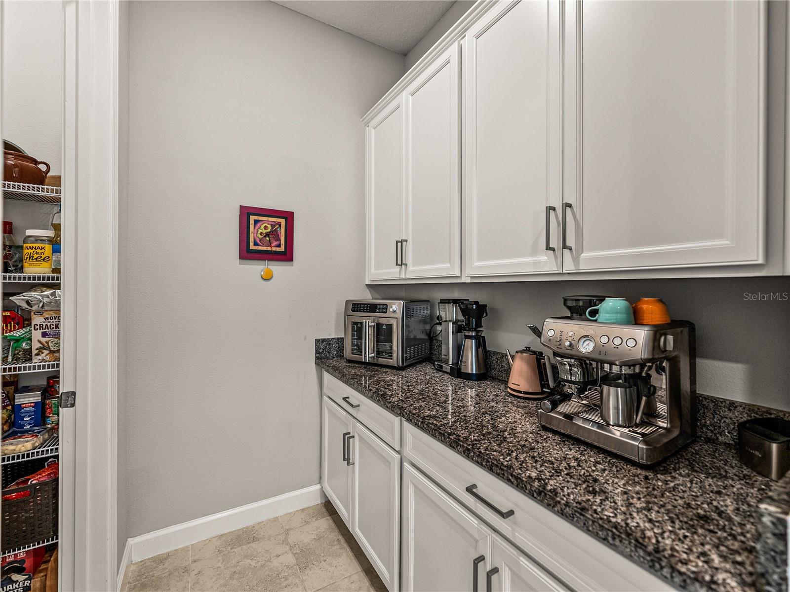 16959 SCUBA CREST ST, WIMAUMA, FL, 33598