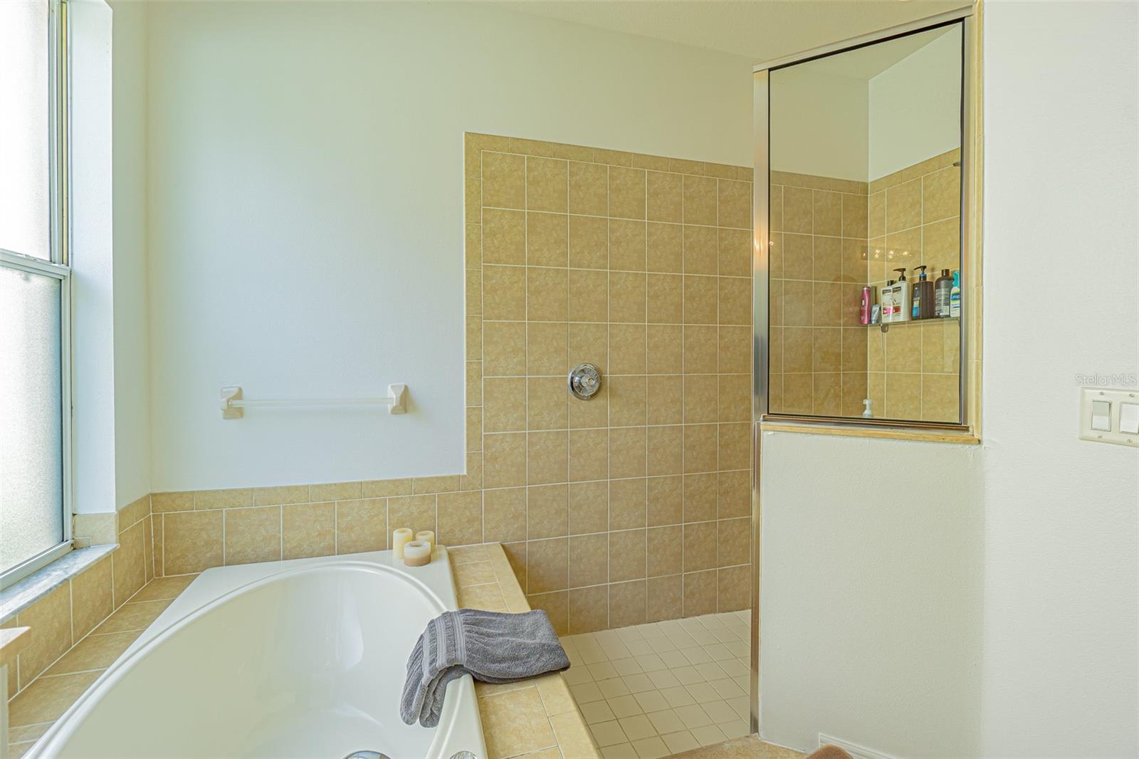 3125 SUNWATCH DR, WESLEY CHAPEL, FL, 33544