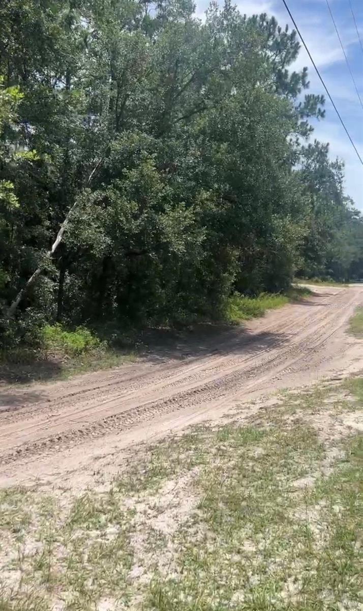 SW 156TH PL, DUNNELLON, FL, 34432