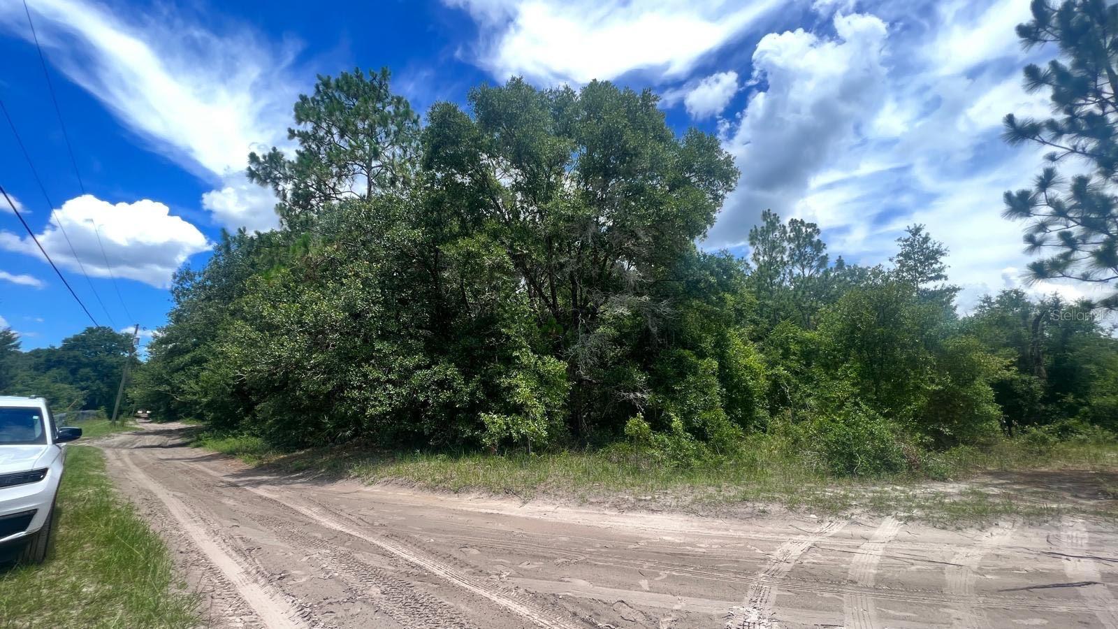 SW 156TH PL, DUNNELLON, FL, 34432