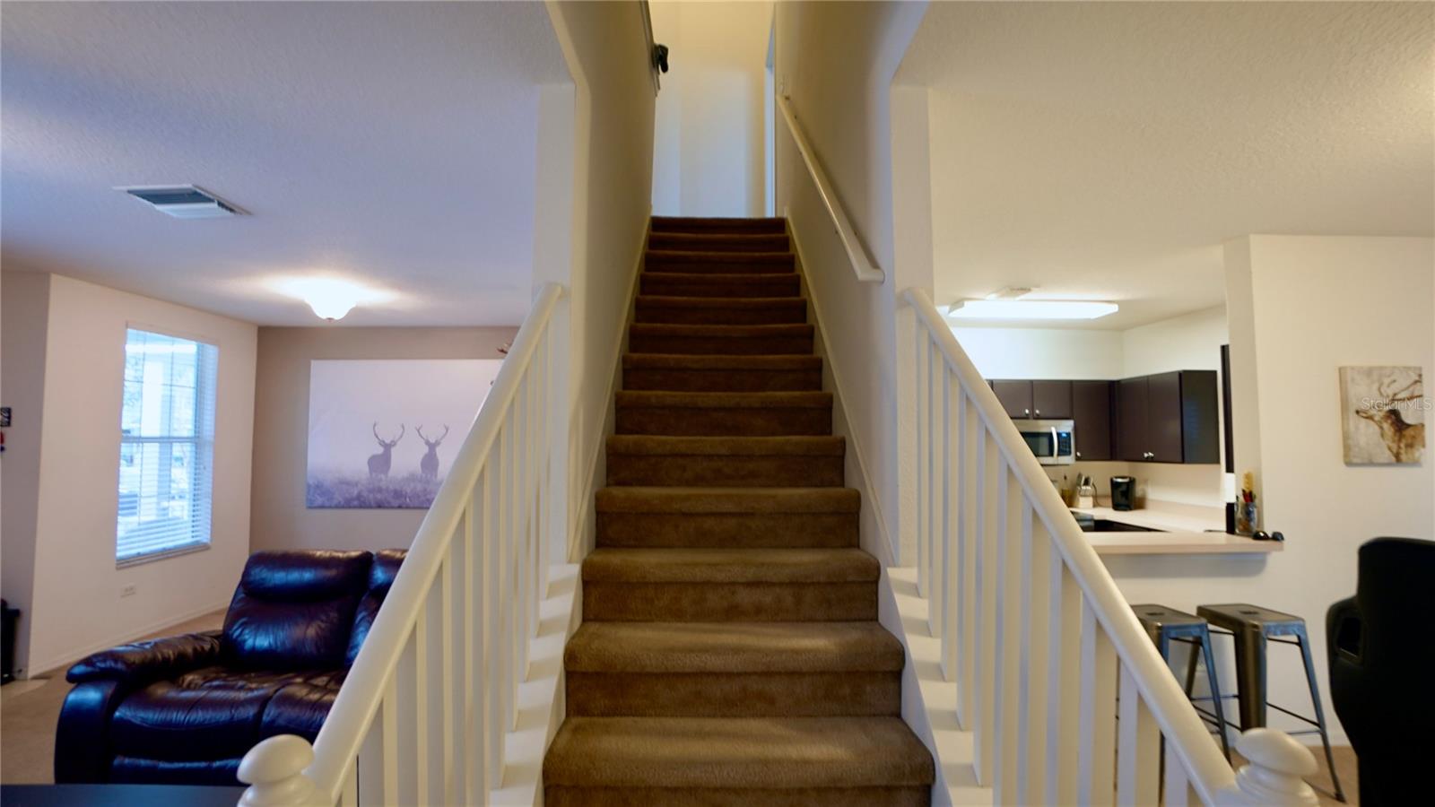 1552 BLUE MAGNOLIA RD, BRANDON, FL, 33510