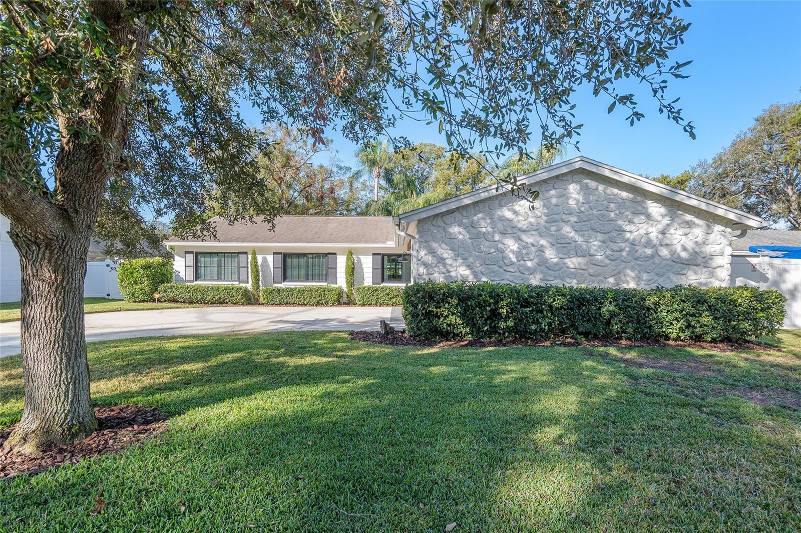 13510 SHADY SHORES DR, TAMPA, FL, 33613