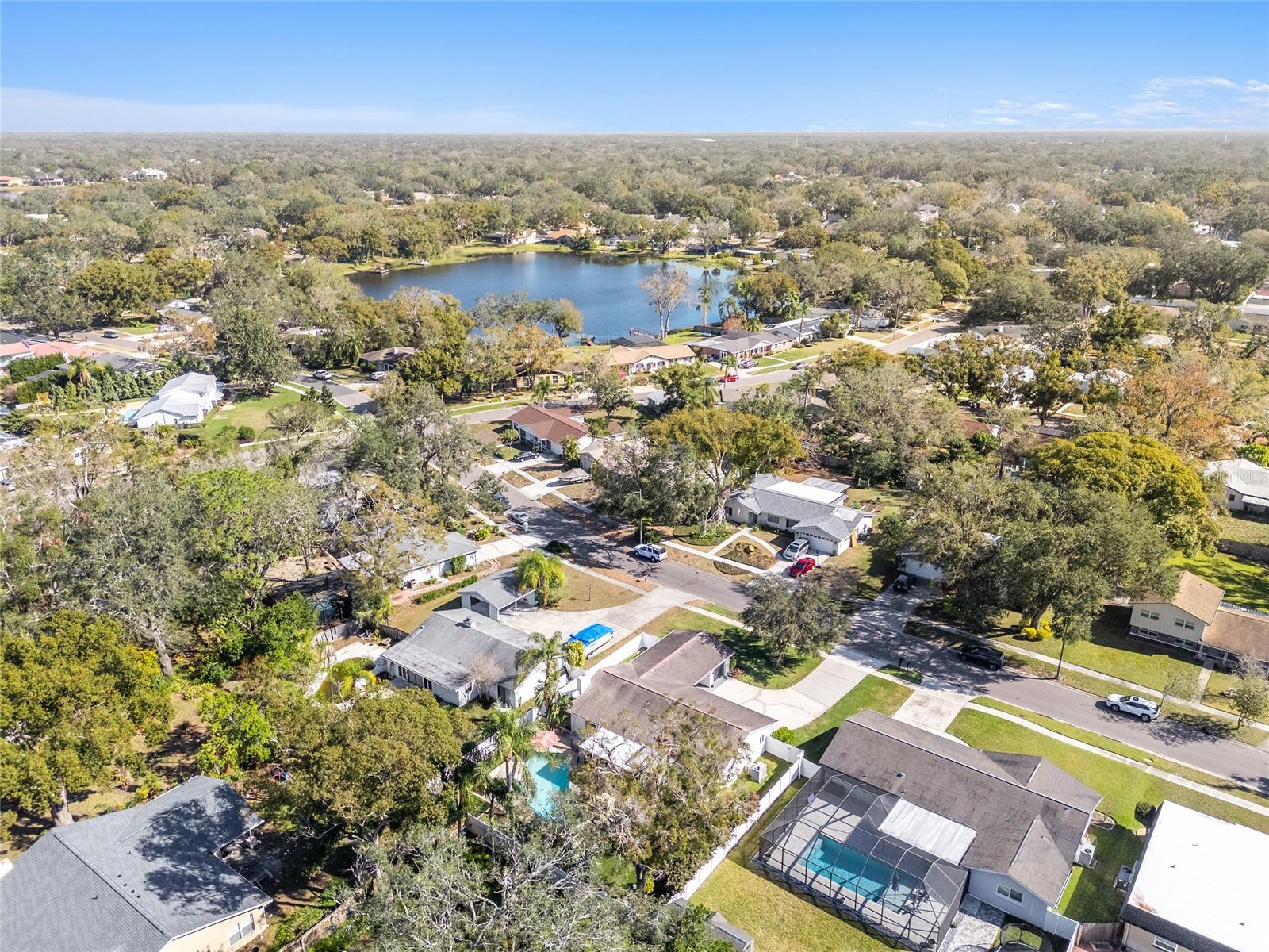 13510 SHADY SHORES DR, TAMPA, FL, 33613