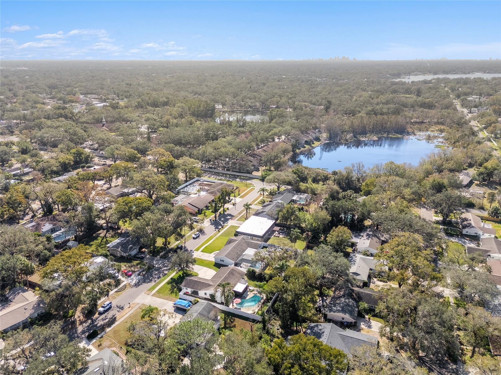 13510 SHADY SHORES DR, TAMPA, FL, 33613
