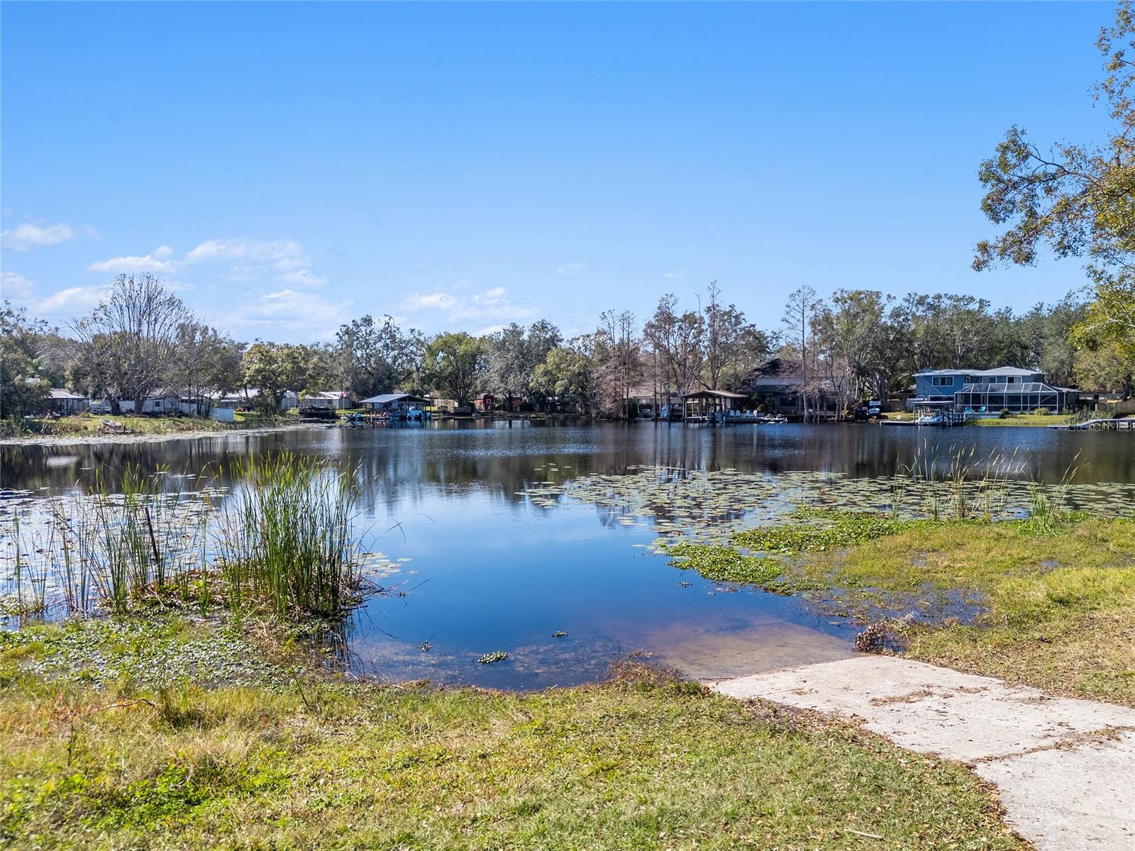 13510 SHADY SHORES DR, TAMPA, FL, 33613
